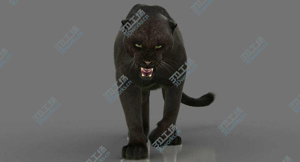 images/goods_img/20210312/3D Black Panther 3 (FUR) (RIGGED)/1.jpg
